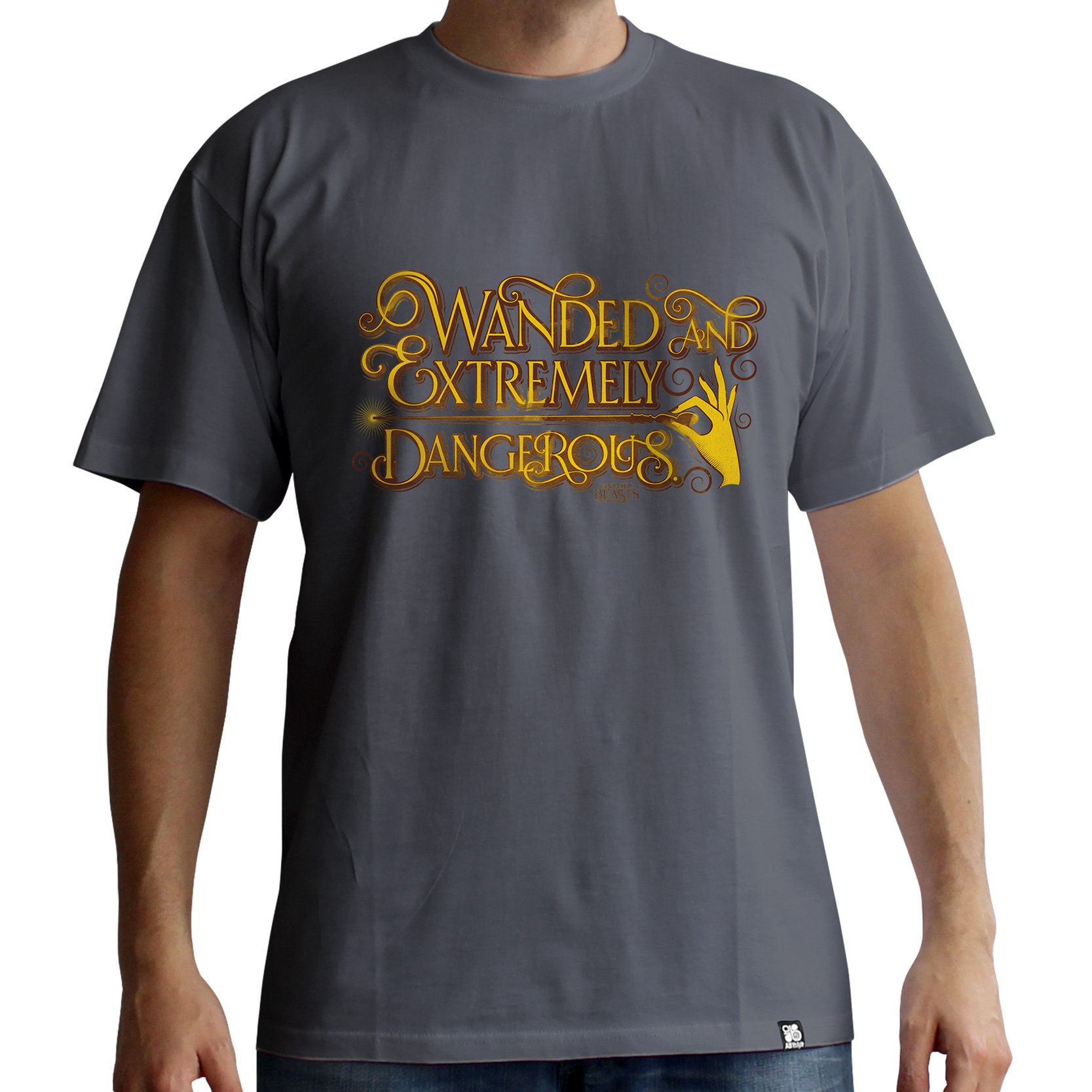 ABYstyle - FANTASTIC BEASTS - Tshirt - "Wanded" - men - dark gray (XXL)