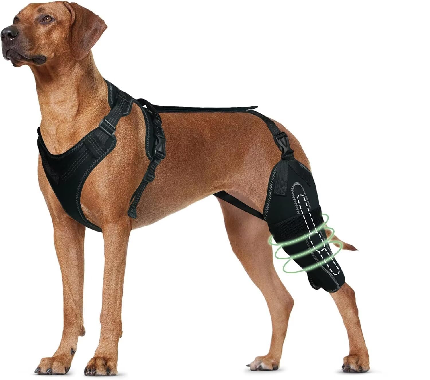 Photo 1 of TIPOOP Dog Knee Brace for ACL/CCL Injuries,Torn Ligament,Luxating Patella - Rear Leg Support,Pain Relief,Joint Warmth,Left Legs,Black,Size:L
