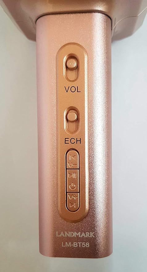 landmark wireless microphone with speaker