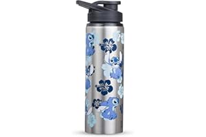 Silver Buffalo Disney Lilo and Stitch Single Walled Stainless Steel Water Bottle, 25 Ounces