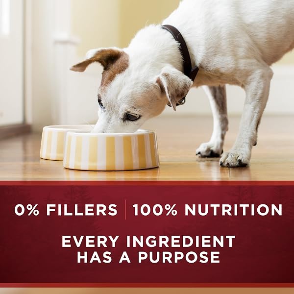 PURINA ONE TRUE INSTINCT CLASSIC GROUND GRAIN-FREE FORMULAS WITH REAL TURKEY AND VENISON, AND WITH REAL CHICKEN AND DUCK HIGH PROTEIN WET DOG FOOD VARIETY PACK – (PACK OF 6) 13 OZ. CANS