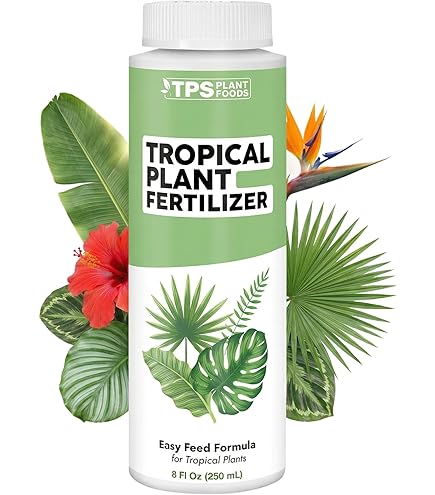 baum philodendron Philodendron lupinum