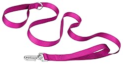 Country Brook Petz - Deluxe Nylon Dog Leash with
