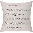 Funny Sister Throw Pillow Cover - 18x18 Inch, Cotton Linen, Sarcastic Sister Gift - View #11