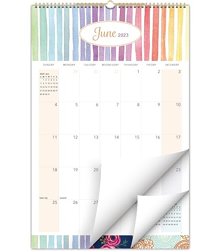 Amazon.com: 2023 Monthly Calendar