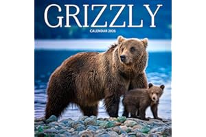 Grizzly Bears 2026 Calendar: Powerful Wildlife and Majestic Landscapes