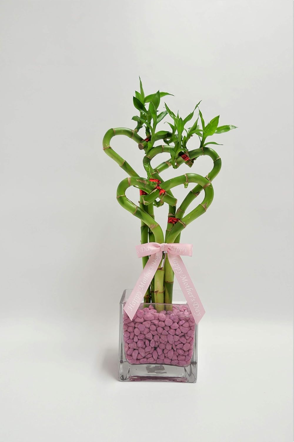 Amazon Com Athena S Garden Ba Hs081012sq4prl Triple Arrangement Lucky Heart Bamboo One Size Clear Glass Cube With Lavender Rocks Garden Outdoor