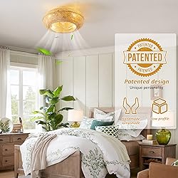 20" Boho Ceiling Fans with Lights and Remote