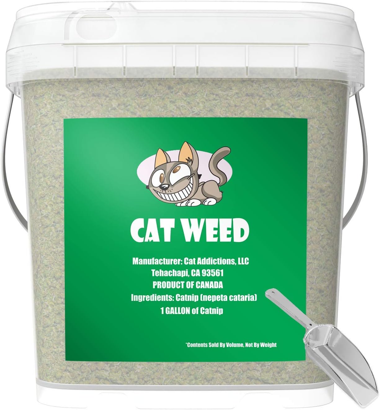 cat goes crazy for food