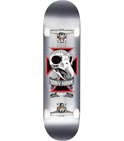 Amazon.com : BIRDHOUSE Skateboard Complete Tony Hawk Skull 2