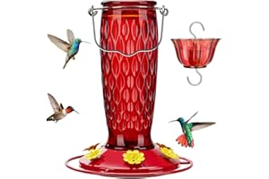 Kingsyard Hummingbird Feeders for Outdoors Hanging, 24 Ounce, Glass Hummingbird Feeder with Ant Moat & 6 Feeding Ports, Leak-