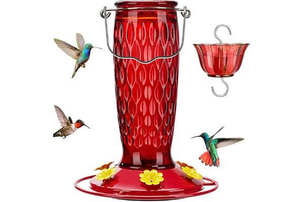 Kingsyard Hummingbird Feeders for Outdoors Hanging, 24 Ounce, Glass Hummingbird Feeder with Ant Moat & 6 Feeding Ports, Leak-