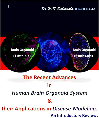 Download The Recent Advances in Human Brain Organoid System and their Applications in Disease Modeling.    An Introductory Review. (English Edition) PDF
