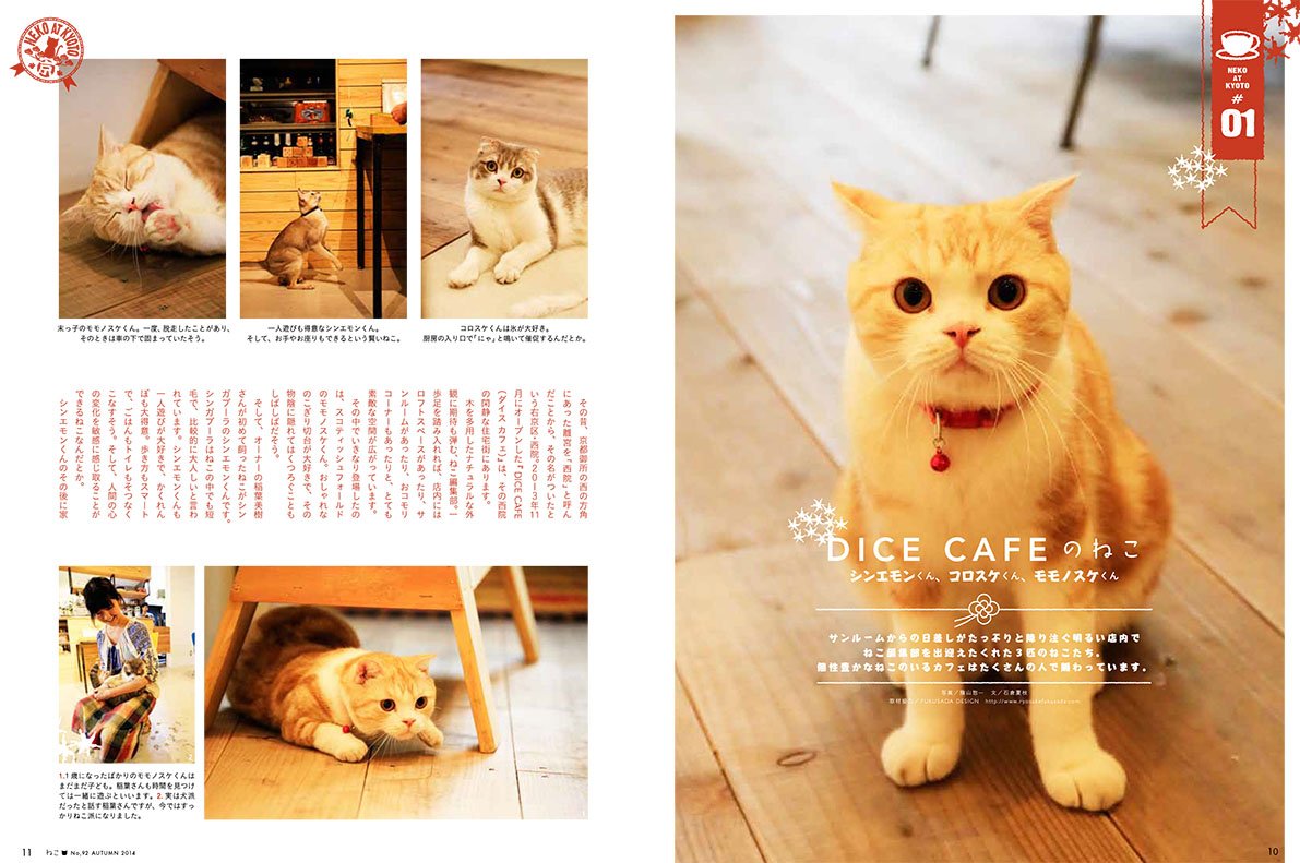 ねこ 2014年 11月号 Vol.92