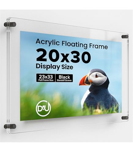 Amazon.com - Acrylic Floating Frames Silver Standoffs (single) 20