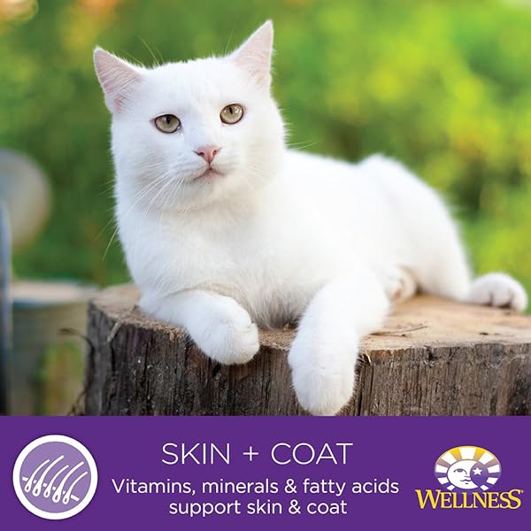 WELLNESS COMPLETE HEALTH GRAIN FREE CHICKEN & HERRING NATURAL WET CANNED CAT FOOD, 3-OUNCE CAN (PACK OF 24)