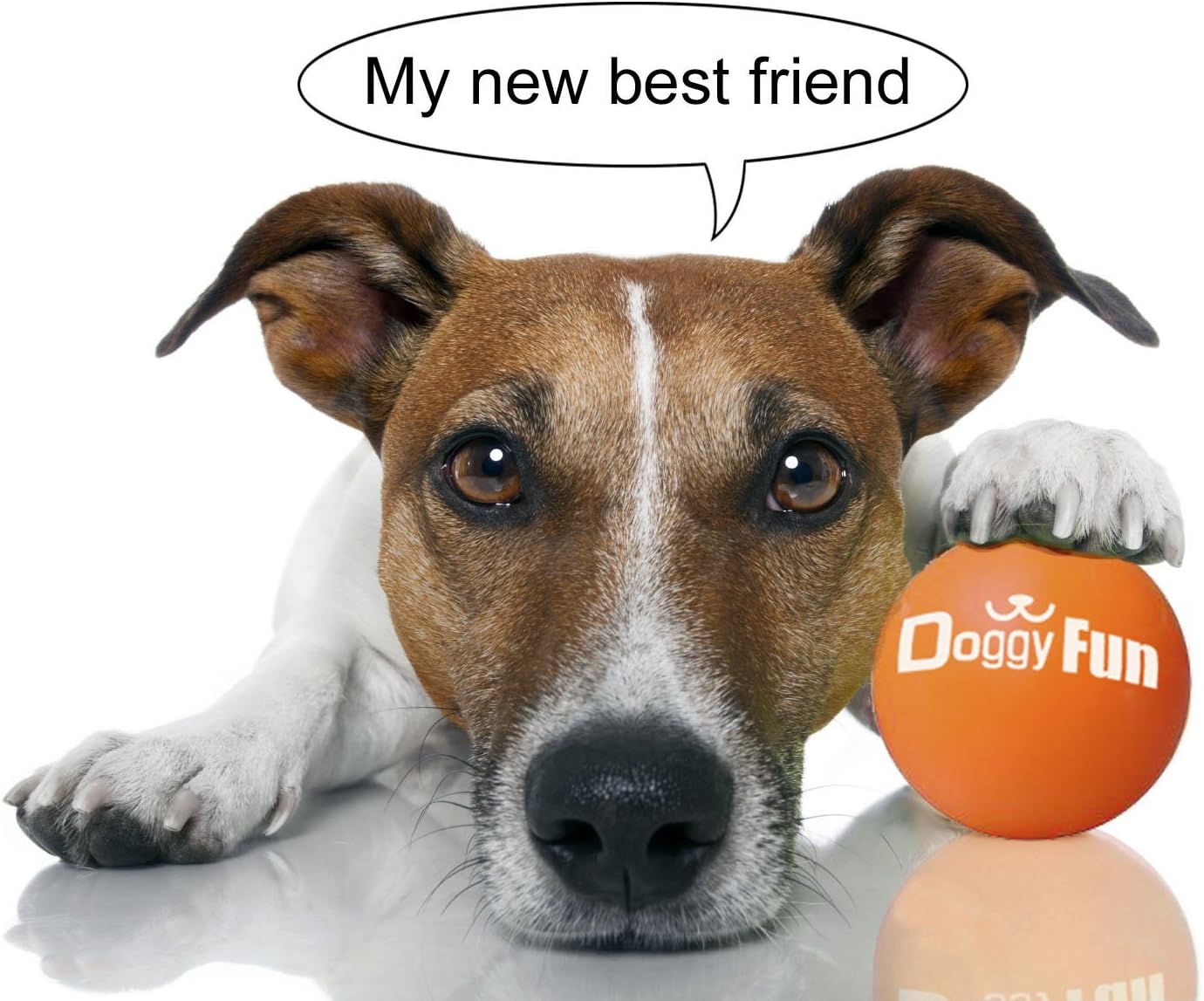 doggy fun automatic ball launcher