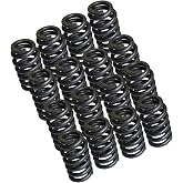 Vanlison 1219 Drop-In Valve Springs, 16 Pack Beehive Springs Set 1200 Series 625'' Lift Compatible with GM LS Series Engines 4.8L 5.3L 5.7L 6L 6.2L LS1 LS2 LS3 LS4 LS6 LS7 LS9 LSA LSJ LSX LQ4 LQ9 LM7