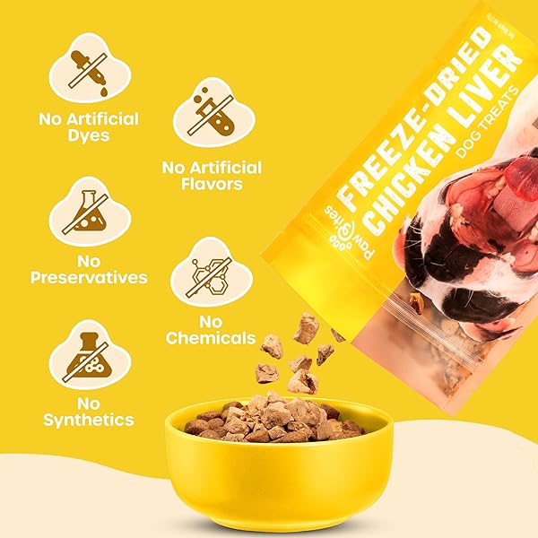 PAW BITES FREEZE DRIED DOG TREATS – CAGE-FREE CHICKEN LIVER – DOG FOOD DRY SNACKS – WITH PROTEIN & OMEGA 3S – FOR ALL BREEDS & SIZES – NO ARTIFICIAL FLAVORS & DYES, NO PRESERVATIVES – 1 POUCH, 4 OZ
