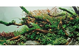 AWERT 48x18 inches Branches Fish Tank Background Green Algae Aquarium Background River Bed & Lake Fish Tank Background Vinyl Background
