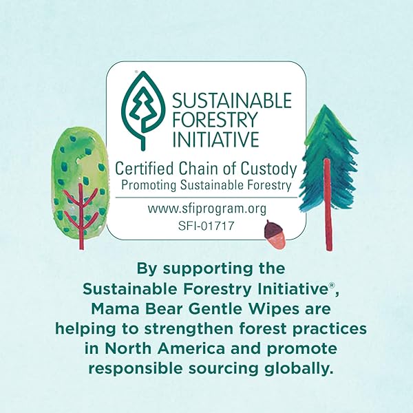AMAZON BRAND – MAMA BEAR GENTLE BABY WIPES, FRAGRANCE FREE, HYPOALLERGENIC, 100 COUNT