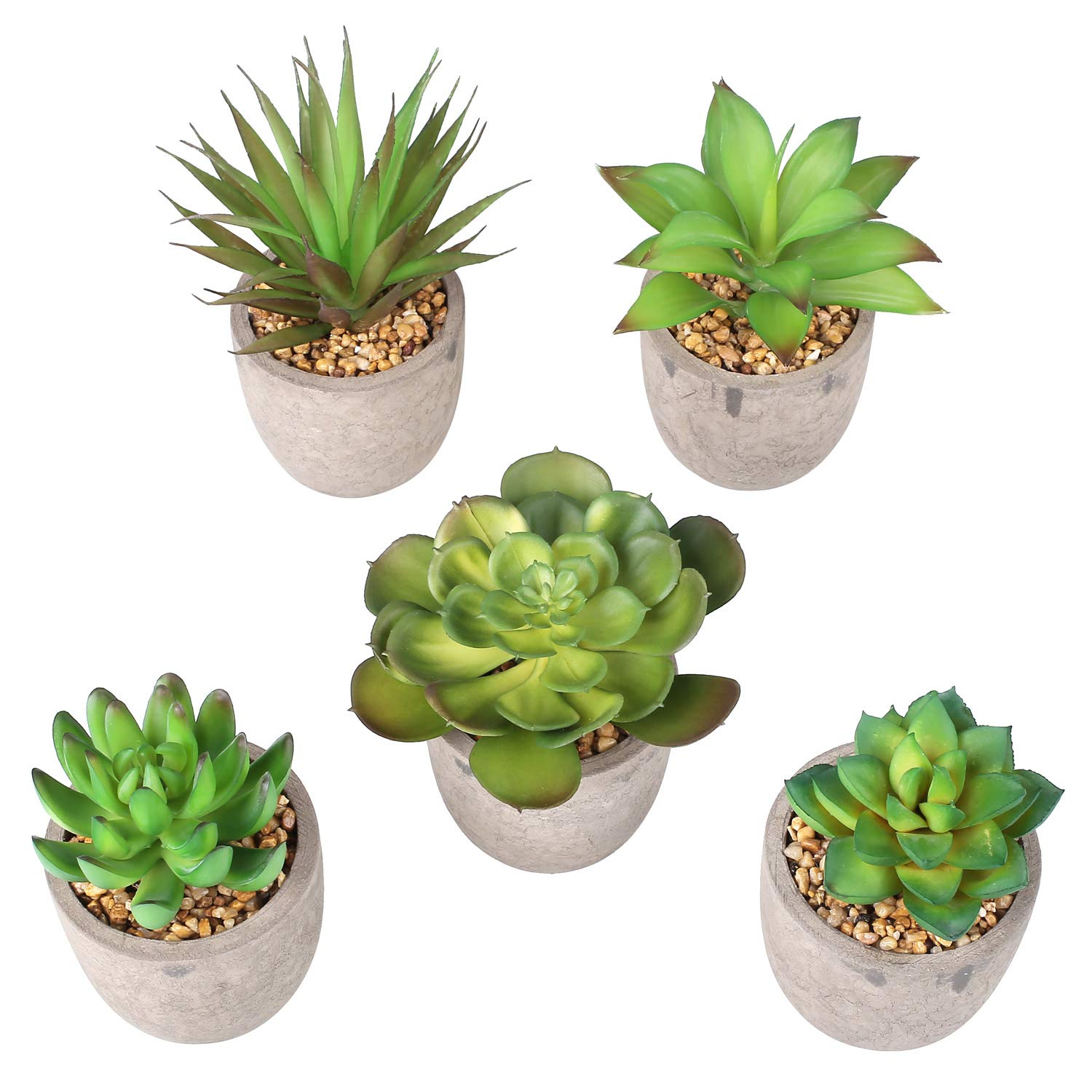 Mejor valorados en Plantas y flores artificiales