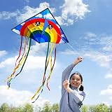 HONBO Rainbow Delta Kites for Adults Beginners Easy to Fly Kit view 2