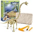 Amazon.com: Geoworld Brachiosaurus Dino Dig Kit – Assemble an 11-Inch ...