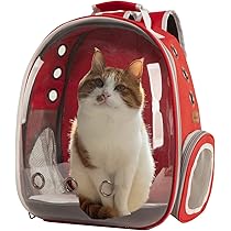 Buy cat backpack Clearance