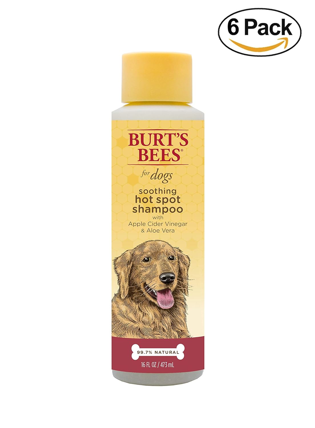 Apple Cider Vinegar Bath For Dogs change comin