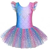 Zaclotre Kid Girls Ruffle Sleeve Ballet Skirted Leotard Shiny Dance Tutu Dresses