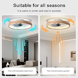 WenineStar 20” Ceiling Fan with Light, Dimmable