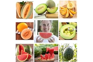 BREOUDO 5 Variety Packs Watermelon Seeds for Planting Melon Fruit Seeds Garden Non-GMO Heirloom Cantaloupe, Crimson Sweet Watermelon, Yellow Canary Melon, Green Flesh Honeydew Melon, Sugar Baby Watermelon