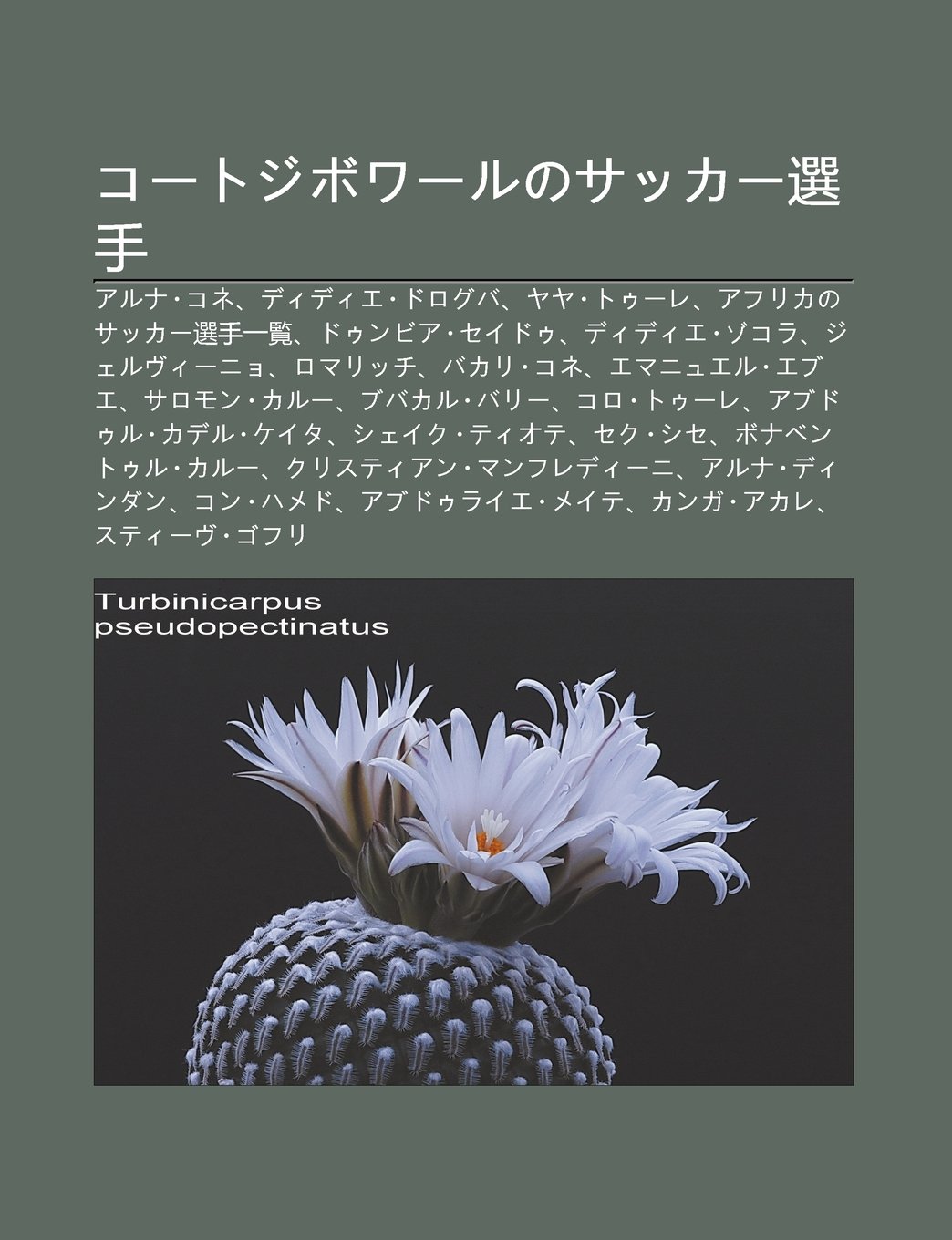 Kōtojibowarunosakka Xuǎn Shǒu Aruna Kone Didie Doroguba Yaya To Ure Afurikanosakka Xuǎn Shǒu Yi Lǎn Do Unbia Seido U Didie Zokora Amazon Com Br