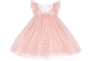 AGQT Baby Tulle Dress for Girls Layered Tutu Ruffle Princess Dresses Toddler Birthday Party Formal Gowns Sundress Size 6M-9T