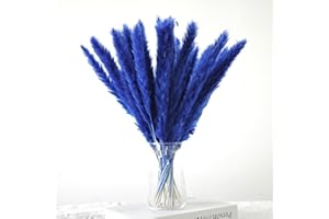 EEAIVNM 30PCS Small Pampas Grass Dried Flowers Dried Natural Floral Arrangement Decoration Reed Dried Grass,Eternal Flower Pampas Reed Dried Grass Used for Home,Wedding,Party,Flower Bouquet,Photo (Blue)