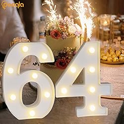 Pooqla Decorative LED Light Up Number
