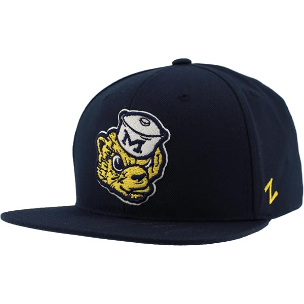Zephyr NCAA Ohio State Buckeyes Snapback Hat - Officially Licensed, Washed Cotton, 3D Embroidered