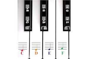 QMG Color Piano and Keyboard Music Note Full Set Stickers for White and Black Keys; Made in USA