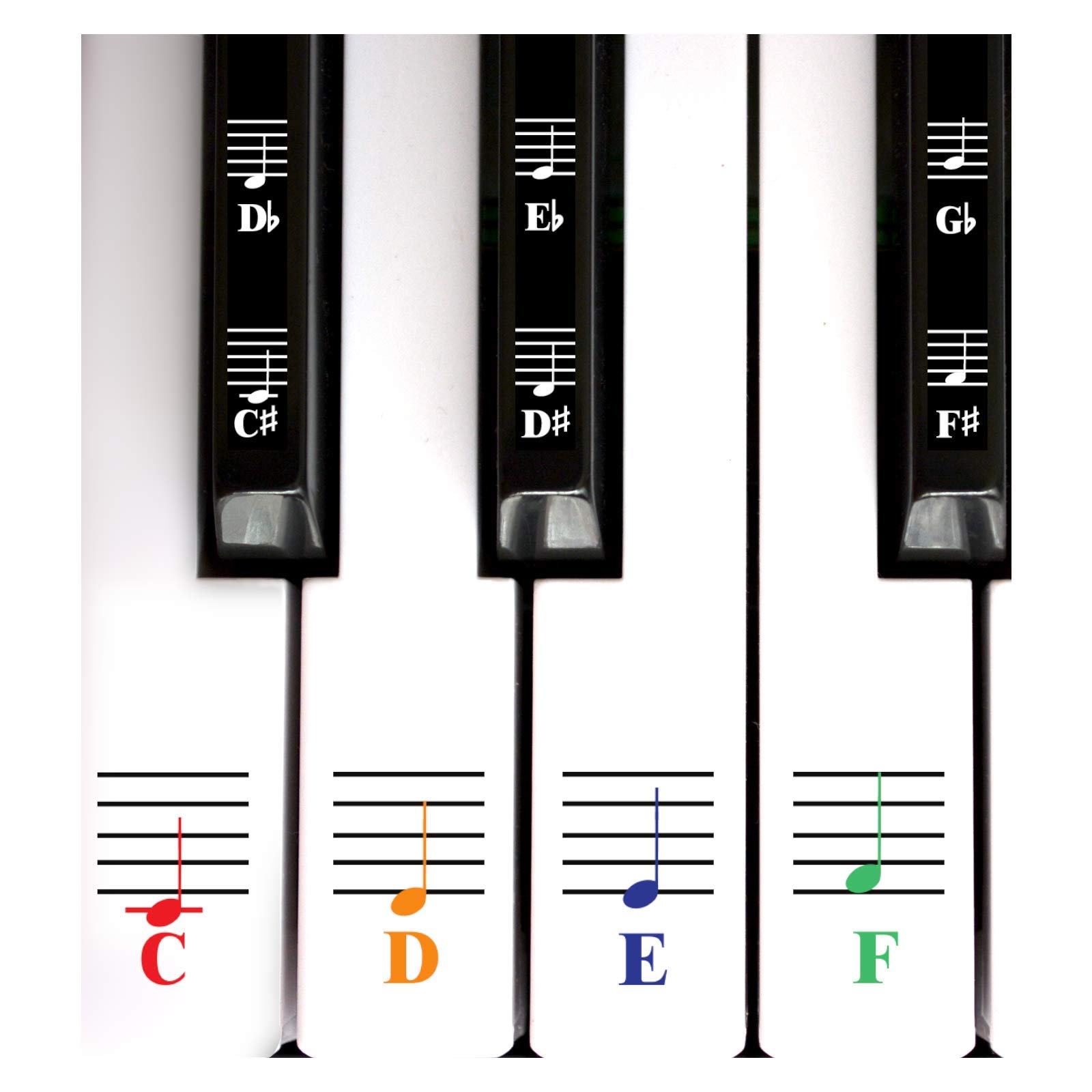 QMG Color Piano and Keyboard Music Note Full Set Stickers for White and Black Keys; Made in USA
