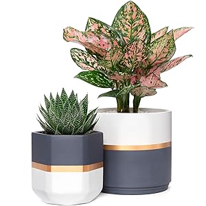 Mkono Ceramic Flower Pot Modern Garden Planters Indoor Outdoor Geometric Plant Containers with Drainage, Gold and Grey Detailing for All House Plants, Herbs, Flowers, Set of 2 (Plants NOT Included)