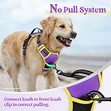 rabbitgoo Dog Harness Medium No Pull Reflective Adjustable Padding Purple Yellow view 6
