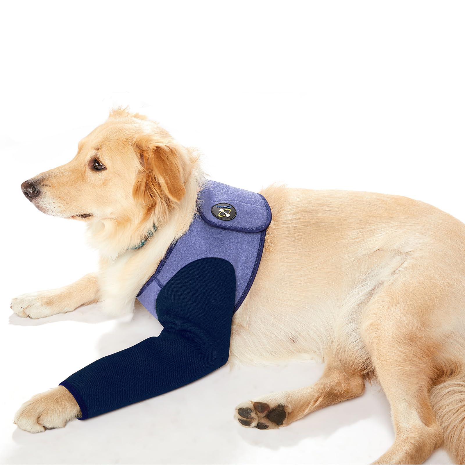 Photo 1 of Coodeo Dog Recovery Suit, Cone Collar Alternative, Abrasion Resistant Dog Recovery Sleeve, Washable 2.5mm Thick and Waterproof, Pet Wounds Prevent Licking, Bite, Keep Dry?Purple?2XL