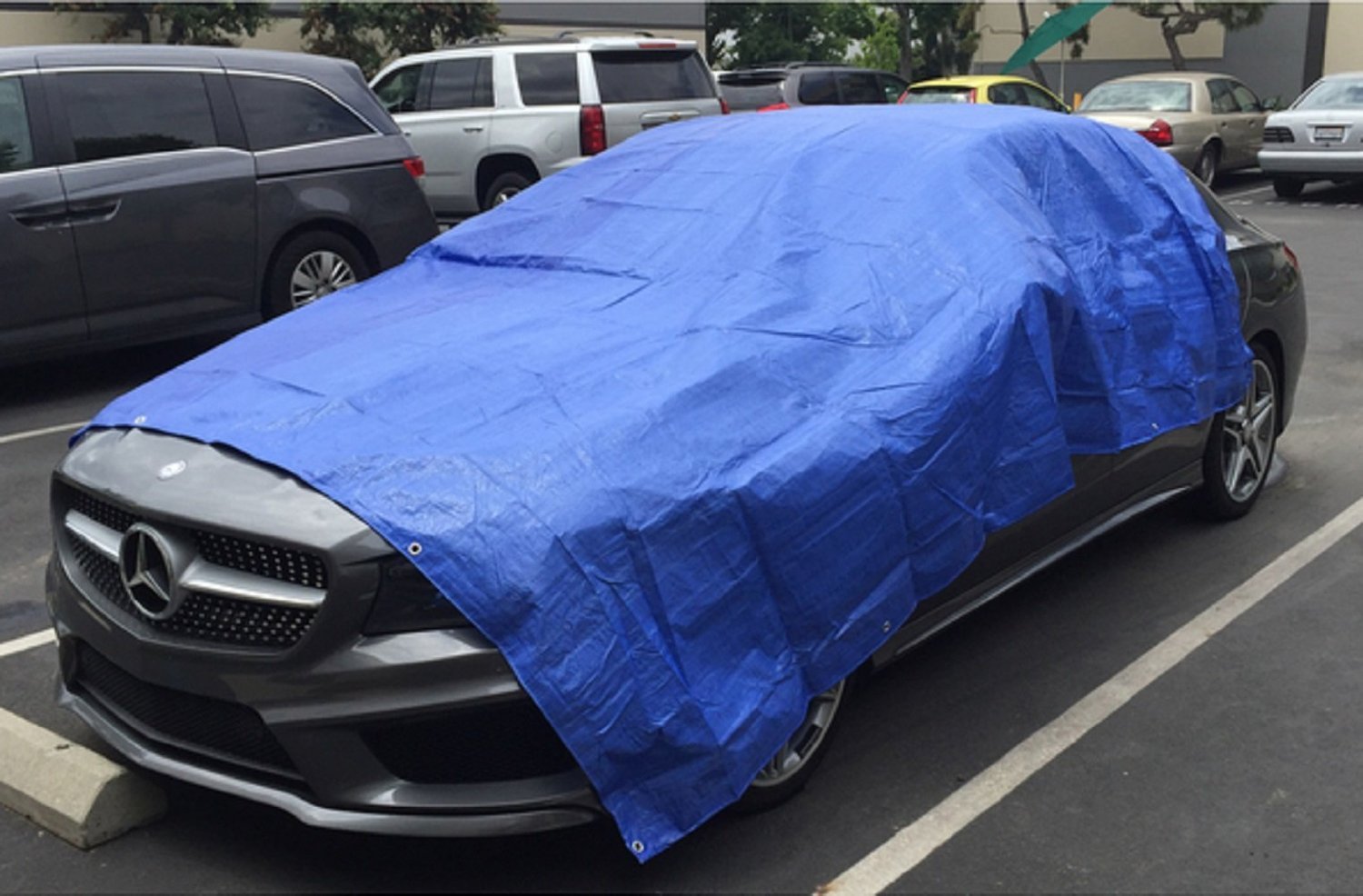 30X50 Blue Tarp Tarpaulin Canopy Tent, Boat. RV or Pool Cover Home