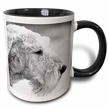 Amazon Com 3drose Jackie Popp Animals Wire Haired Terrier Black