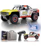 Amazon.com: EAZYRC FMS 1/18 RC Truck FSC18 Ford Bronco, Officially