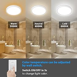 Unicozin Dimmable Ceiling Light with Remote
