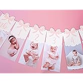 12 Month Bow Photo Banner - Milestone Bow Banner, Newborn To 12 Months, 1st Birthday Photo Banner For Baby From Newborn To 12 Months