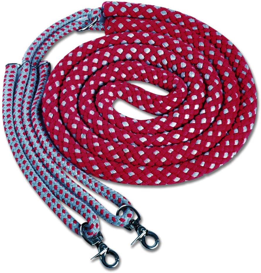 Amesbichler Lunging Aid Lunging Training System Lunge Rein Longing