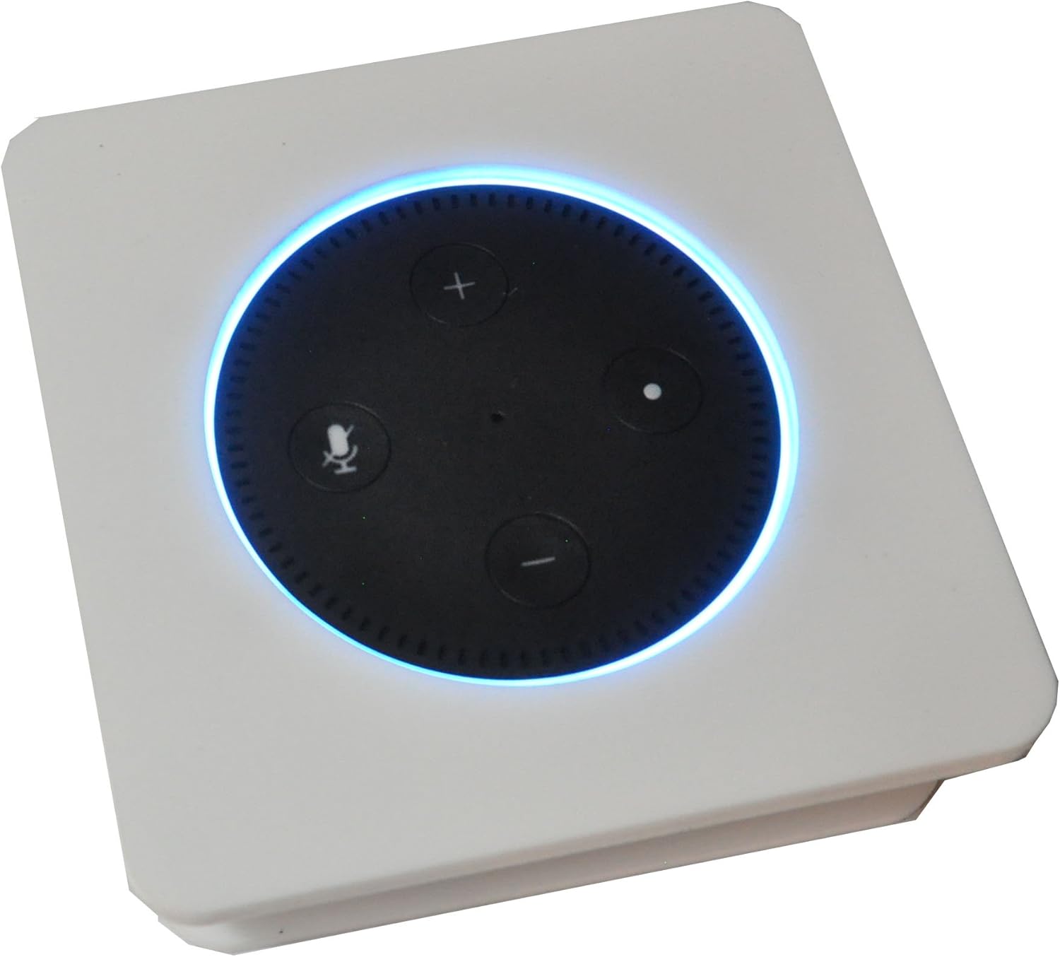 amazon echo dot security